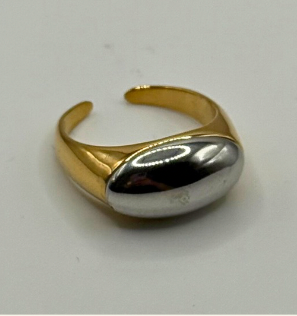 Anillo Paneli
